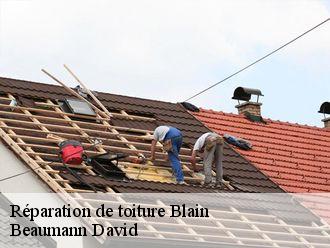 Réparation de toiture  blain-44130 Beaumann David