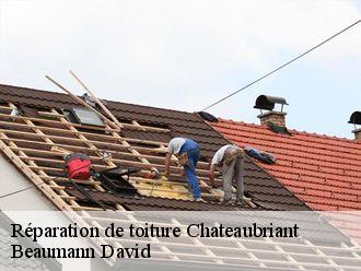 Réparation de toiture  chateaubriant-44110 Beaumann David