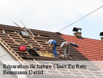 Réparation de toiture  cheix-en-retz-44640 Beaumann David