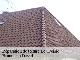 Réparation de toiture 44490