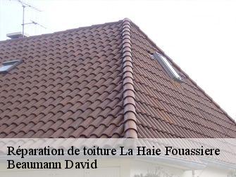 Réparation de toiture 44690