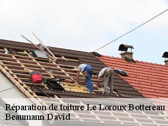 Réparation de toiture  le-loroux-bottereau-44430 Beaumann David