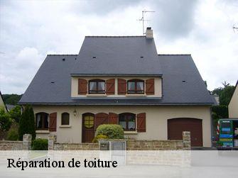 Réparation de toiture 44110