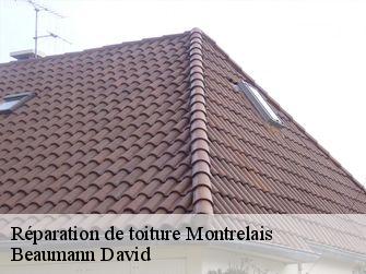 Réparation de toiture 44370