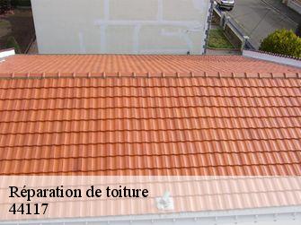 Réparation de toiture  44117