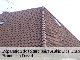 Réparation de toiture 44110
