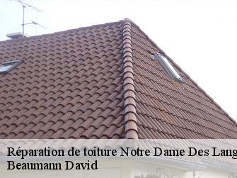 Réparation de toiture 44440