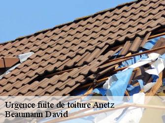 Urgence fuite de toiture 44150