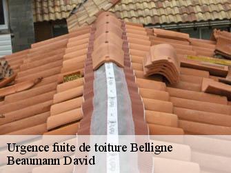 Urgence fuite de toiture