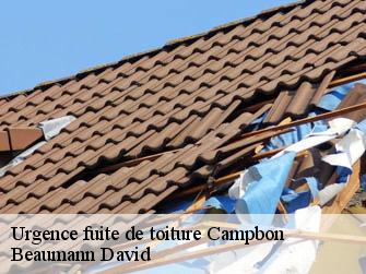 Urgence fuite de toiture  44750