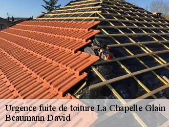 Urgence fuite de toiture  la-chapelle-glain-44670 Beaumann David