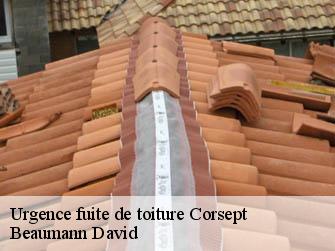 Urgence fuite de toiture
