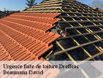 Urgence fuite de toiture  dreffeac-44530 Beaumann David