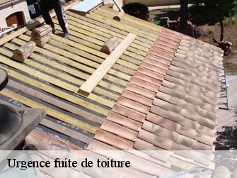 Urgence fuite de toiture 44460