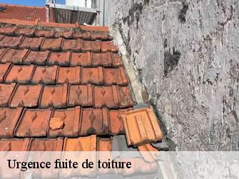 Urgence fuite de toiture