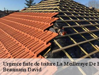 Urgence fuite de toiture  la-meilleraye-de-bretagne-44520 Beaumann David