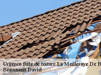 Urgence fuite de toiture  44520