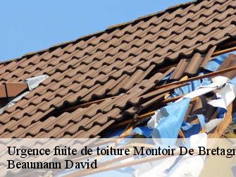 Urgence fuite de toiture 44550