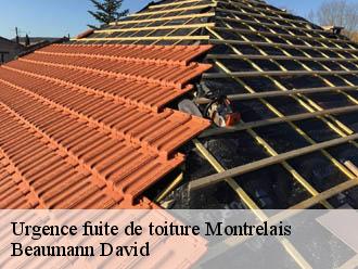 Urgence fuite de toiture  montrelais-44370 Beaumann David