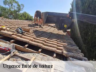Urgence fuite de toiture