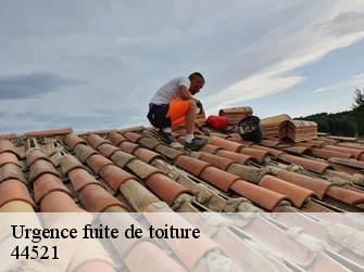 Urgence fuite de toiture  44521