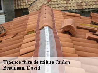 Urgence fuite de toiture