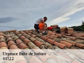 Urgence fuite de toiture  44522