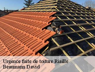 Urgence fuite de toiture riaille-44440 Beaumann David
