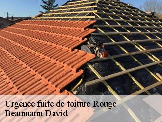 Urgence fuite de toiture rouge-44660 Beaumann David