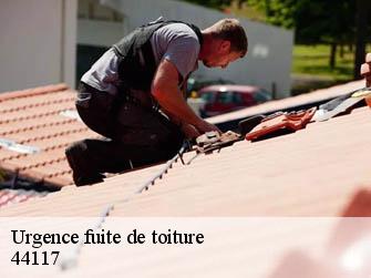Urgence fuite de toiture 44117