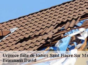 Urgence fuite de toiture 44690