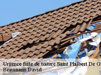 Urgence fuite de toiture  44310