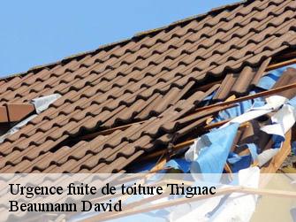 Urgence fuite de toiture 44570