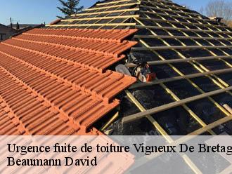 Urgence fuite de toiture vigneux-de-bretagne-44360 Beaumann David