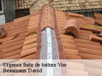 Urgence fuite de toiture