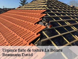 Urgence fuite de toiture  la-benate-44650 Beaumann David