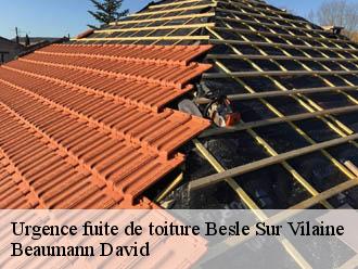 Urgence fuite de toiture  besle-sur-vilaine-44290 Beaumann David