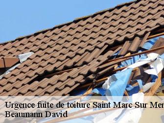 Urgence fuite de toiture  44600